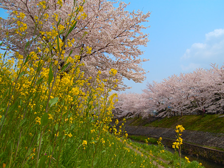20060410_1.jpg