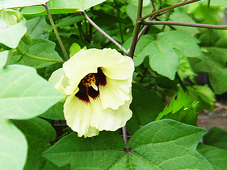 20071020_1.jpg
