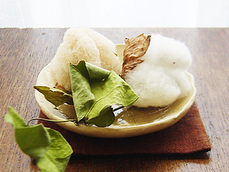 20071020_2.jpg