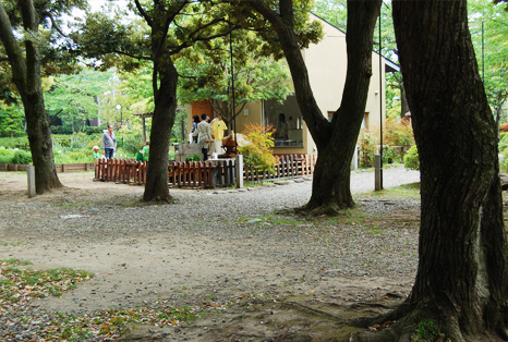 20110508_4.jpg