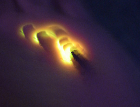 20110627.jpg