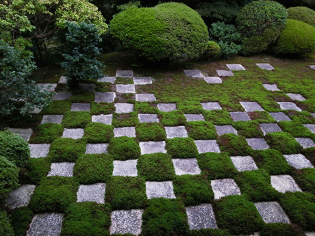 20121110-2.jpg