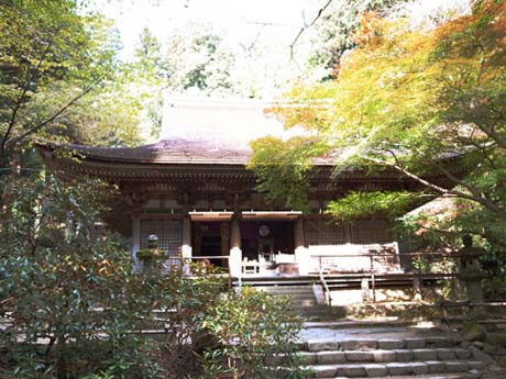 20121110-4.jpg