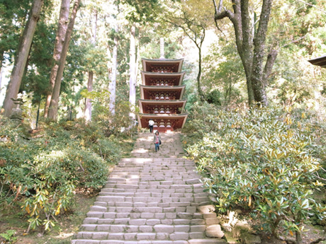 20121110-5.jpg