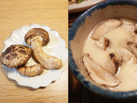 20121110-6.jpg